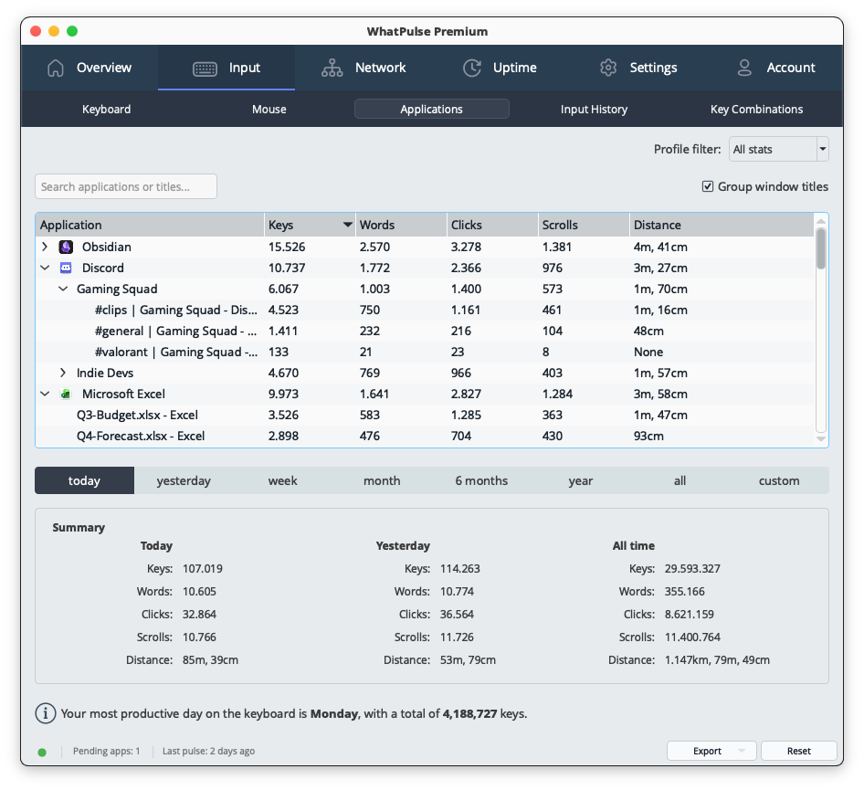 Per-application input stats with window titles