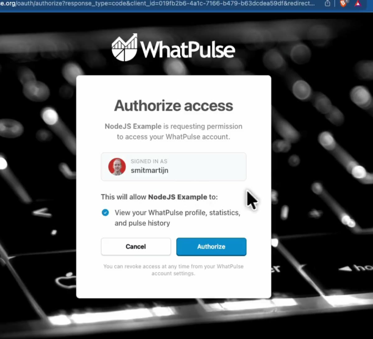 The WhatPulse authorization screen showing what the app is allowed to see